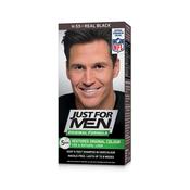 Just For Men Black Hair Colour