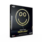 Neon Light Smiley Face