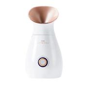 Stylpro Facial Steamer - Rose Gold image