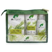 Dr Organic Tea Tree Travel Set