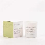 Signature Scents Citrus, Basil &amp; Orange Blossom Candle 180G image