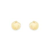 Shell Stud Earrings Gold image