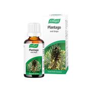 Plantago Herbal Oral Drops For Throat &amp; Respiratory Support