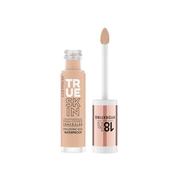 True Skin High Cover Concealer 010 image