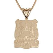Shield Coat of Arms Pendant with Name - 14k-yellow-gold image