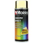 Morris Copper Colour Spray Paint - 400ml image