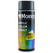 Morris High Gloss Acrylic Spray Paint Traffic Grey B 400ml - RAL 7043 image