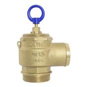 G13581 Brass Vacuum Pump Safety Valve – 2in BSP Male Thread
