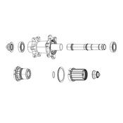 Zipp Cognition V2 Axial Clutch Kit | Hub Spare for Disc &amp; Rim Brake