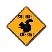 Squirrel Xing Signs – Vintage Home Decor Sign, UV Protected Color Print, Yellow Xing Signs, Aluminum Composite, Holes Drilled for Easy Mounting image