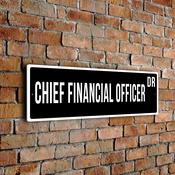 Chief Financial Officer Street Sign - Personalized Metal Road Signs, Gifts for Co-worker, Colleague Gift, Durable Heavy Duty plaque image