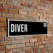 Diver Street Sign - Personalized Metal Road Signs, Gifts for Co-worker, Colleague Gift, Durable Heavy Duty plaque image