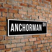 Anchorman Street Sign - Personalized Metal Road Signs, Gifts for Co-worker, Colleague Gift, Durable Heavy Duty plaque - 12-x-4-inches