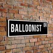 Balloonist Street Sign - Personalized Metal Road Signs, Gifts for Co-worker, Colleague Gift, Durable Heavy Duty plaque - 12-x-4-inches