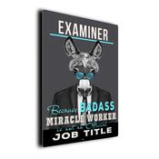 Gift for Examiner – Metal Sign for Examiners, UV Protected Print, Durable Indoor/Outdoor Signs, Smooth Matt Finish, Mounting Holes - 20-x-14-inches