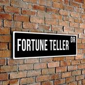 Fortune Teller Street Sign - Personalized Metal Road Signs, Gifts for Co-worker, Colleague Gift, Durable Heavy Duty plaque - 24-x-8-inches