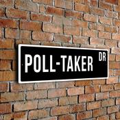Poll-Taker Street Sign - 20-x-6-inches
