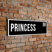 Princess Street Sign - 12-x-4-inches