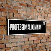 Professional Dominant Street Sign - 24-x-8-inches image