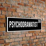 Psychodramatist Street Sign - 20-x-6-inches