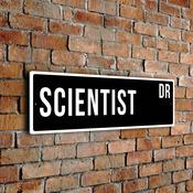 Scientist Street Sign - 12-x-4-inches