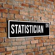 Statistician Street Sign - 24-x-8-inches