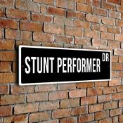Stunt Performer Street Sign - 12-x-4-inches