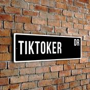 Tiktoker Street Sign - 24-x-8-inches