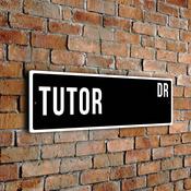 Tutor Street Sign - 12-x-4-inches image
