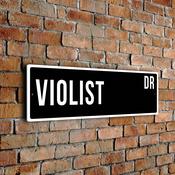 Violist Street Sign - 24-x-8-inches