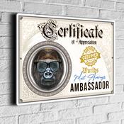 Fun Ambassador Certificate Sign – Fun Co-worker award signs, gift for colleague, UV Protected Print, Durable Aluminum Composite, Indoor Outdoor Use, Easy Mount - 12-x-8-inches-2