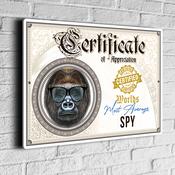 Fun Spy Certificate Sign – Fun Co-worker award signs, gift for colleague, UV Protected Print, Durable Aluminum Composite, Indoor Outdoor Use, Easy Mount - 9-x-6-inches-2