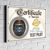 Fun Test Pilot Certificate Sign – Fun Co-worker award signs, gift for colleague, UV Protected Print, Durable Aluminum Composite, Indoor Outdoor Use, Easy Mount - 12-x-8-inches-2