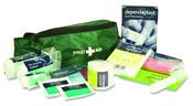 First Aid Kit in Green Bum Bag image