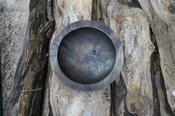 Ebonised Cherry Wood Turned Bowl image