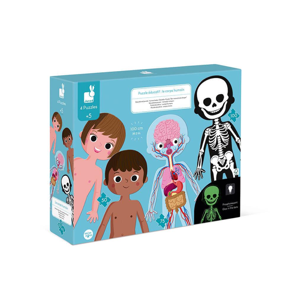 Janod Human Body Educational Puzzle Set of 4 with Glow in the Dark Parts