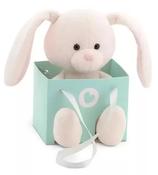 Soft Toy Surprise the Bunny