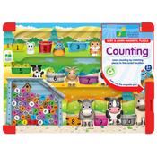 Sort and Learn magnetic puzzle counting