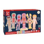 Hape Magnetic Human Body Wooden Puzzle