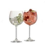 Erne Gin &amp; Tonic Pair