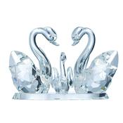 Swan Family image