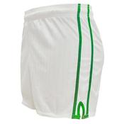 Lee Sports An Pairc Shorts - White/Green - 34