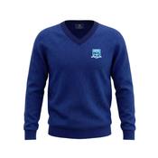 Dunamase College V-Neck Jumper - Irish Crest - 2XL image