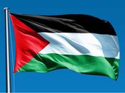 Palestinian Flag image