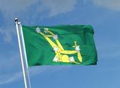 Plough and Stars Flag image