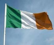 Irish tri-colour Flag image