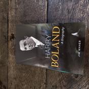 Harry Boland image