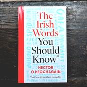 The Irish words you should know image