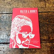 Walter Rodney - A Promise Of Revolution image