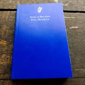 State, In Relation/ Stát, Maidir le